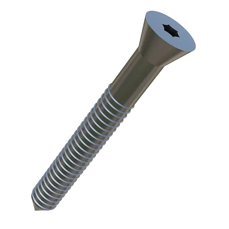 DOME SOLAR - HELIOS B2 - Vis de serreur T25 (équivalent en A4) - QUI063