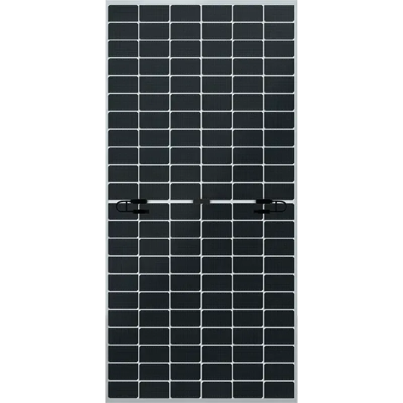 Module PV DMEGC Série Infinity RT - DM630G12RT-B66HSW - 630 Wc - Bifacial NType Topcon - 4