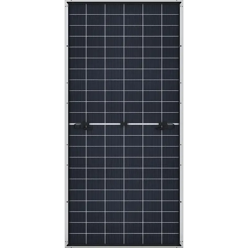 Module PV LONGI Hi-MO X10 - LR8-66HVD - 650 Wc - Back Contact N Type - 4